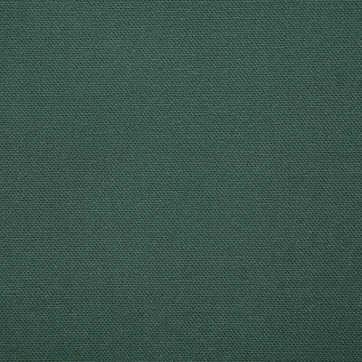 Pindler HUTTON FOREST 7415 Fabric - Fabric Collection
