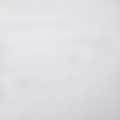 Pindler CARMICHAEL WHITE 7481 Fabric - Fabric Collection