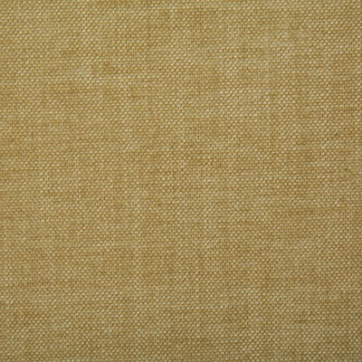 Pindler PEYTON STRAW 7533 Fabric - Fabric Collection