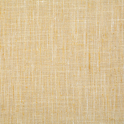 Pindler RYAN SUNSHINE 7537 Fabric - Fabric Collection