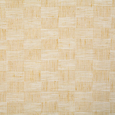 Pindler JAX SUNSHINE 7541 Fabric - Fabric Collection
