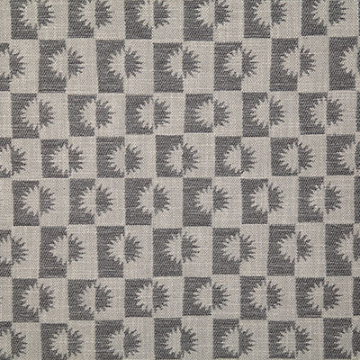 Pindler STEVIE CHARCOAL 7545 Fabric - Fabric Collection
