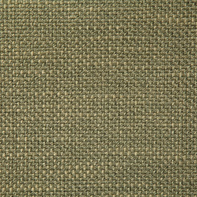 Pindler BRADLEY MOSS 7556 Fabric - Fabric Collection