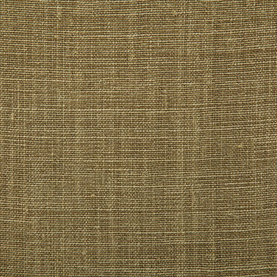 Pindler PALOMA MOSS 7647 Fabric - Fabric Collection