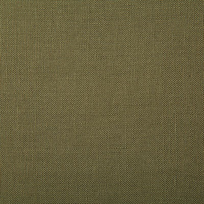 Pindler PRINCETON MOSS 7648 Fabric - Fabric Collection