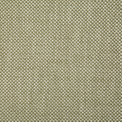 Pindler PLAZA SAGE 7719 Fabric - Fabric Collection