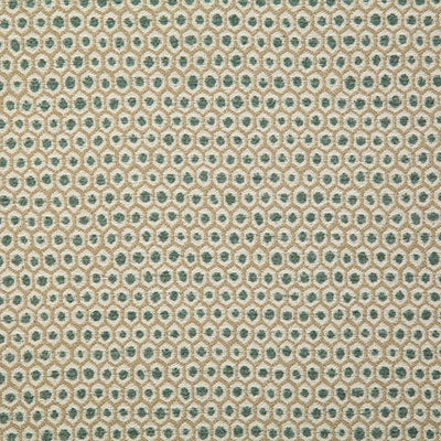 Pindler PATIO FERN 7721 Fabric - Fabric Collection