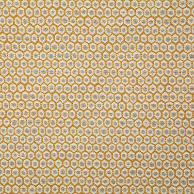 Pindler PATIO GOLDEN 7721 Fabric - Fabric Collection