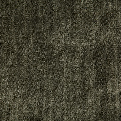 Pindler DENTON MOSS 7728 Fabric - Fabric Collection