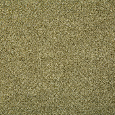 Pindler VAUGHN OLIVE 7729 Fabric - Fabric Collection