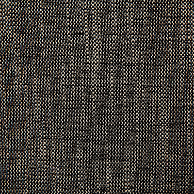 Pindler DENVILLE NOIR 7777 Fabric - Fabric Collection