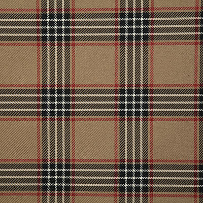 Pindler RUPERT NOIR 7813 Fabric - Fabric Collection