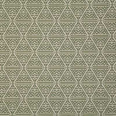 Pindler FRAMPTON FERN 7836 Fabric - Fabric Collection
