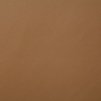 Pindler MOSEY SADDLE 7877 Fabric - Fabric Collection