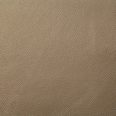 Pindler HOWDY CHAMPAGNE 7879 Fabric - Fabric Collection