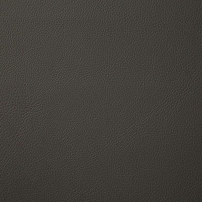 Pindler HOWDY CHARCOAL 7879 Fabric - Fabric Collection