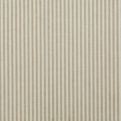 Pindler BENTLEY BIRCH 7975 Fabric - Fabric Collection