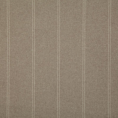 Pindler OVERLY NATURAL 7988 Fabric - Fabric Collection