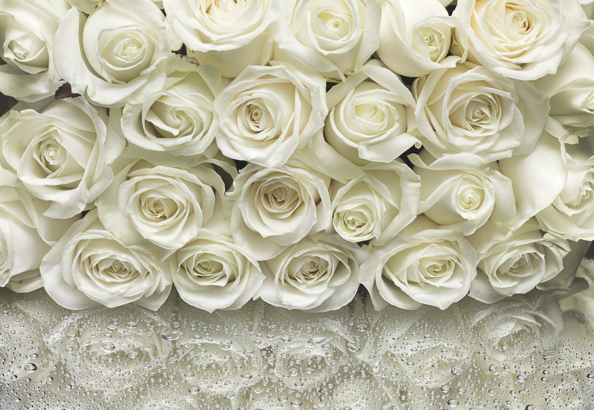 Komar 8-314 A la Rose Wall Mural