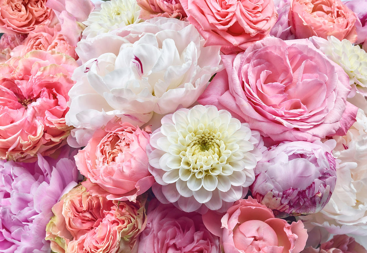 Komar 8-335 Vibrant Spring Wall Mural