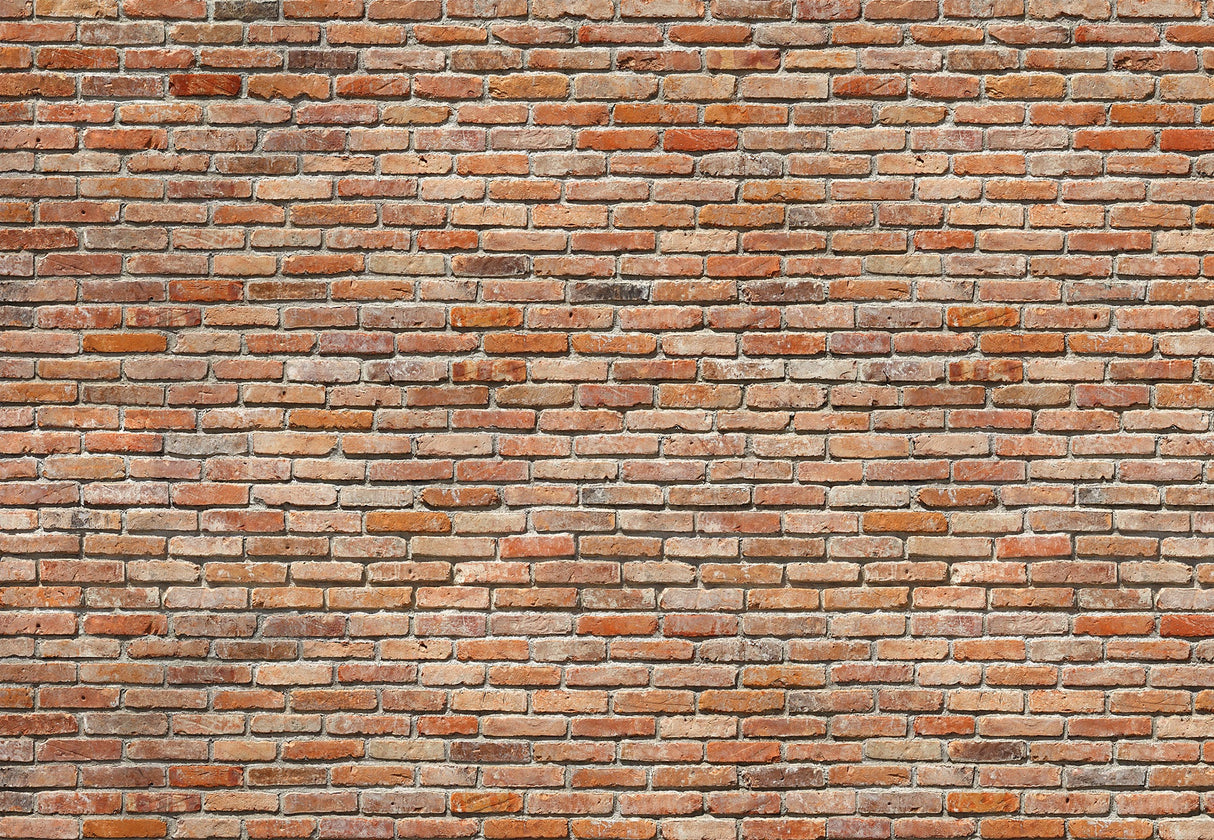 Komar 8-741 Brick Wall Mural