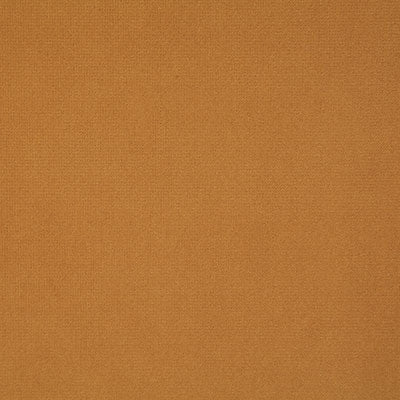 Pindler FLORENTINA AMBER 8004 Fabric - Fabric Collection