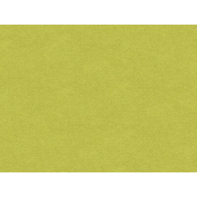BRUNSCHWIG & FILS 8013149.303.0 CHEVALIER WOOL PERIDOT Fabric - Eade's Wallpaper