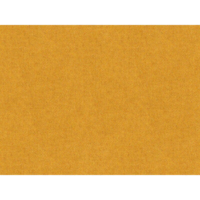 BRUNSCHWIG & FILS 8013149.40.0 CHEVALIER WOOL AMBER Fabric - Eade's Wallpaper