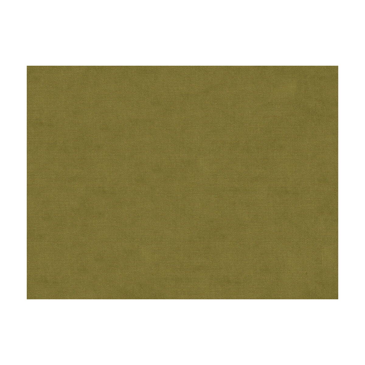 BRUNSCHWIG & FILS 8013150.130.0 CHARMANT VELVET OLIVE Fabric - Eade's Wallpaper