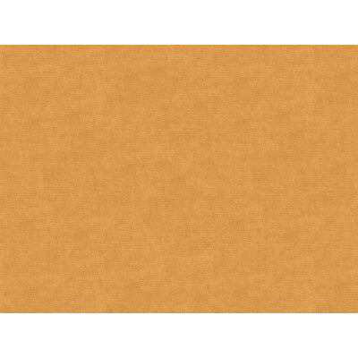 BRUNSCHWIG & FILS 8013150.4.0 CHARMANT VELVET RAFFIA Fabric - Eade's Wallpaper