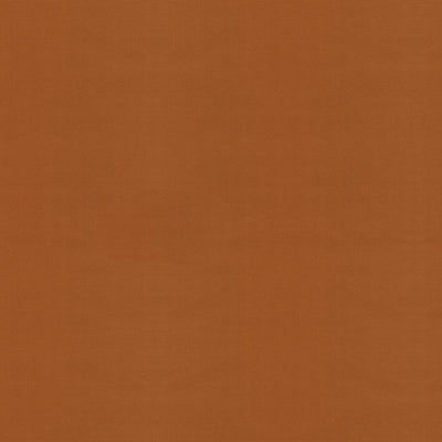 BRUNSCHWIG & FILS 8013182.616.0 FAILLE DU BARRY TAN Fabric - Eade's Wallpaper