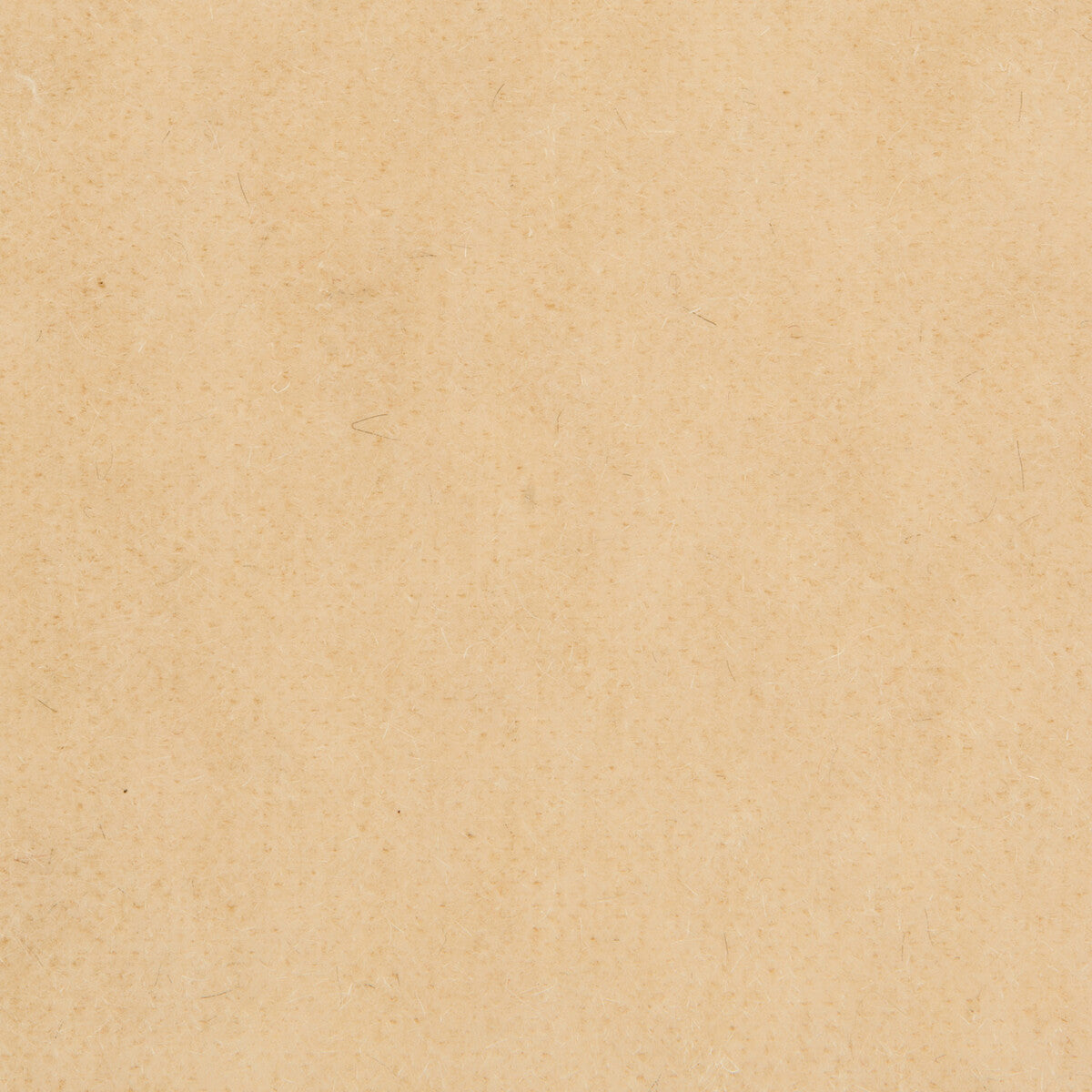 BRUNSCHWIG & FILS 8014101.101.0 BACHELOR MOHAIR ALMOND Fabric - Eade's Wallpaper