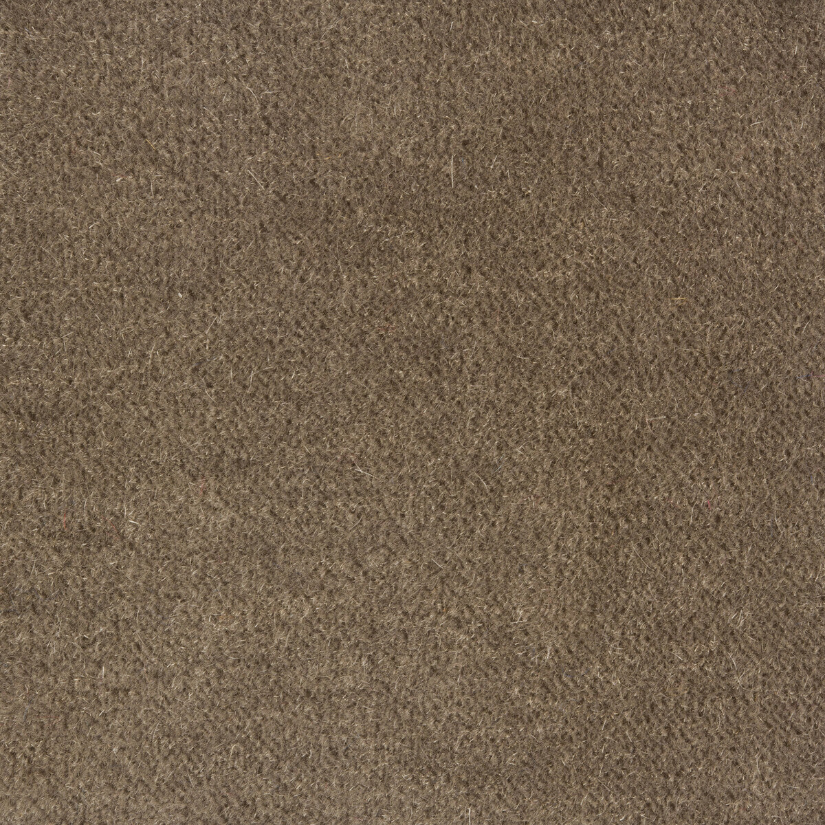 BRUNSCHWIG & FILS 8014101.1111.0 BACHELOR MOHAIR GREY Fabric - Eade's Wallpaper