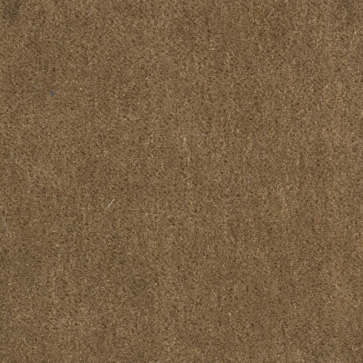 BRUNSCHWIG & FILS 8014101.1611.0 BACHELOR MOHAIR MUSHROOM Fabric - Eade's Wallpaper