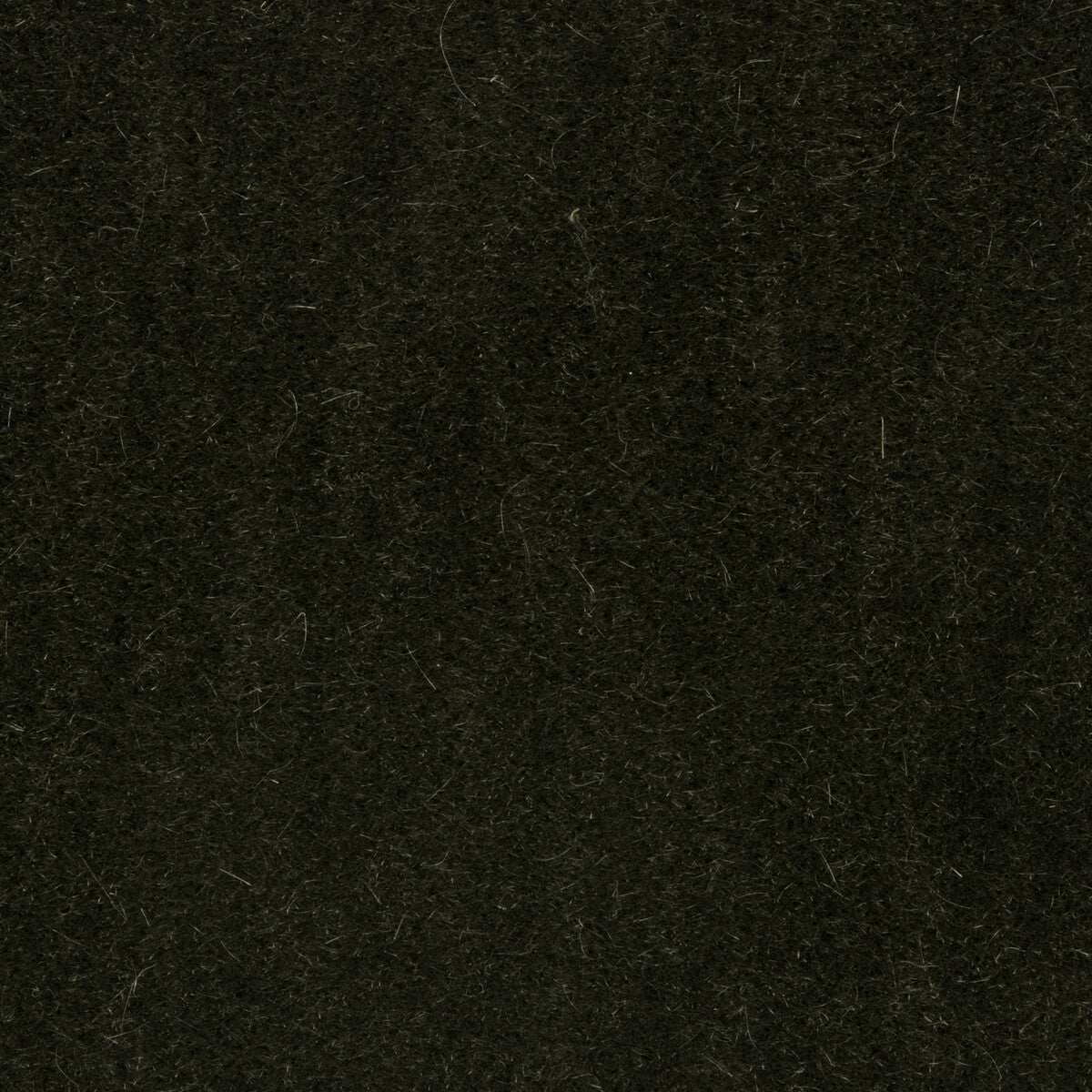 BRUNSCHWIG & FILS 8014101.30.0 BACHELOR MOHAIR THYME Fabric - Eade's Wallpaper