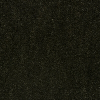 BRUNSCHWIG & FILS 8014101.30.0 BACHELOR MOHAIR THYME Fabric - Eade's Wallpaper