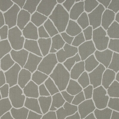 BRUNSCHWIG & FILS 8015173.11.0 KALIVELI WOVEN PUMICE Fabric - Eade's Wallpaper