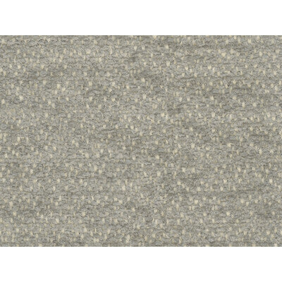 BRUNSCHWIG & FILS 8016108.11.0 BOURGET CHENILLE GREY Fabric - Eade's Wallpaper