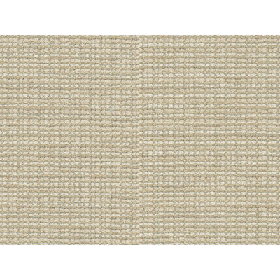 BRUNSCHWIG & FILS 8016109.1.0 TEPEY CHENILLE OYSTER Fabric - Eade's Wallpaper