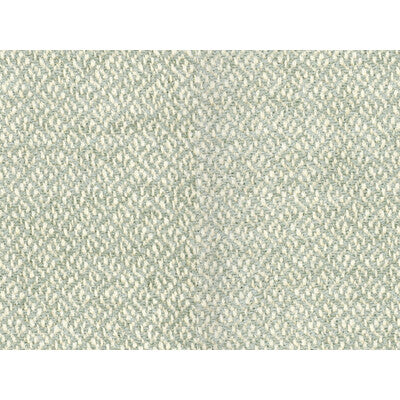 BRUNSCHWIG & FILS 8016110.113.0 COTTIAN CHENILLE SEAGLASS Fabric - Eade's Wallpaper