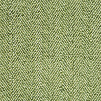 BRUNSCHWIG & FILS 8017140.3.0 FIRLE CHENILLE II CELERY Fabric - Eade's Wallpaper