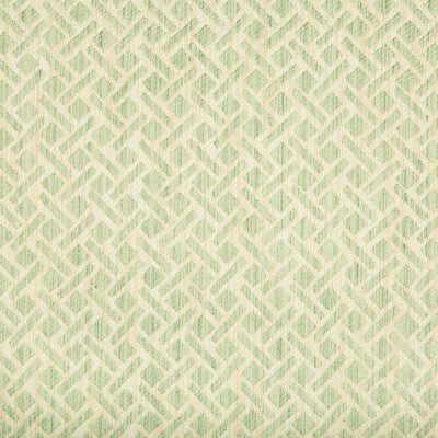 BRUNSCHWIG & FILS 8017141.113.0 COMTE STRIE ALOE Fabric - Eade's Wallpaper
