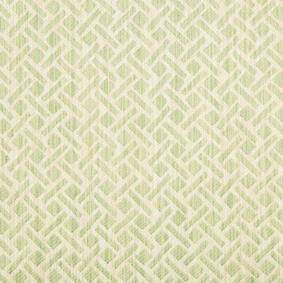 BRUNSCHWIG & FILS 8017141.3.0 COMTE STRIE CELERY Fabric - Eade's Wallpaper