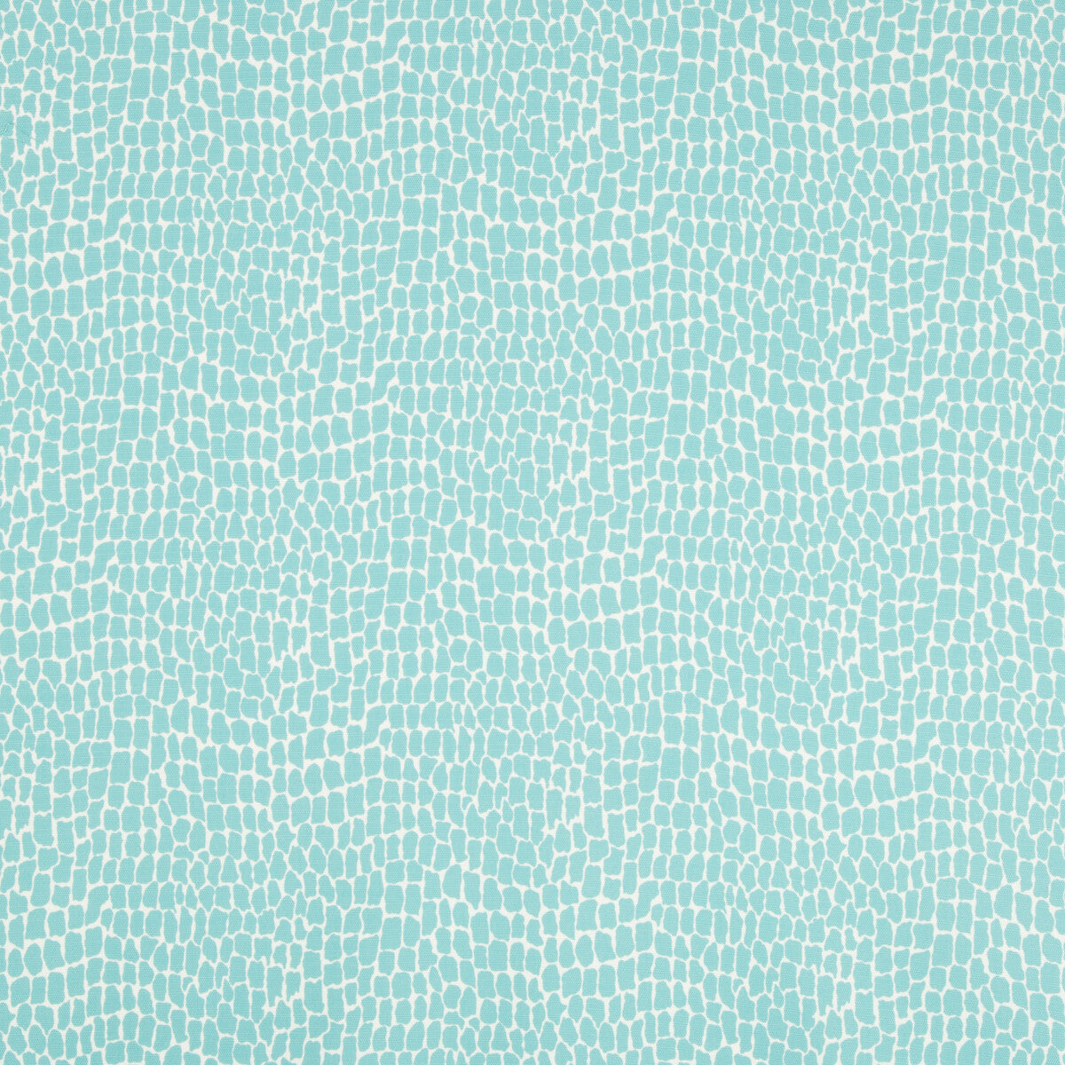 BRUNSCHWIG & FILS 8017154.13.0 NILE PRINT AQUA Fabric - Eade's Wallpaper