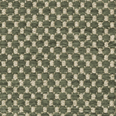 BRUNSCHWIG & FILS 8019147.33.0 ECRINS TEXTURE AVOCADO Fabric - Eade's Wallpaper