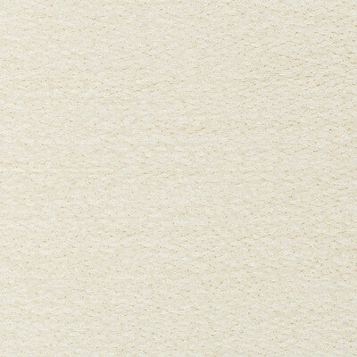 BRUNSCHWIG & FILS 8019150.1.0 CLERY TEXTURE IVORY Fabric - Eade's Wallpaper