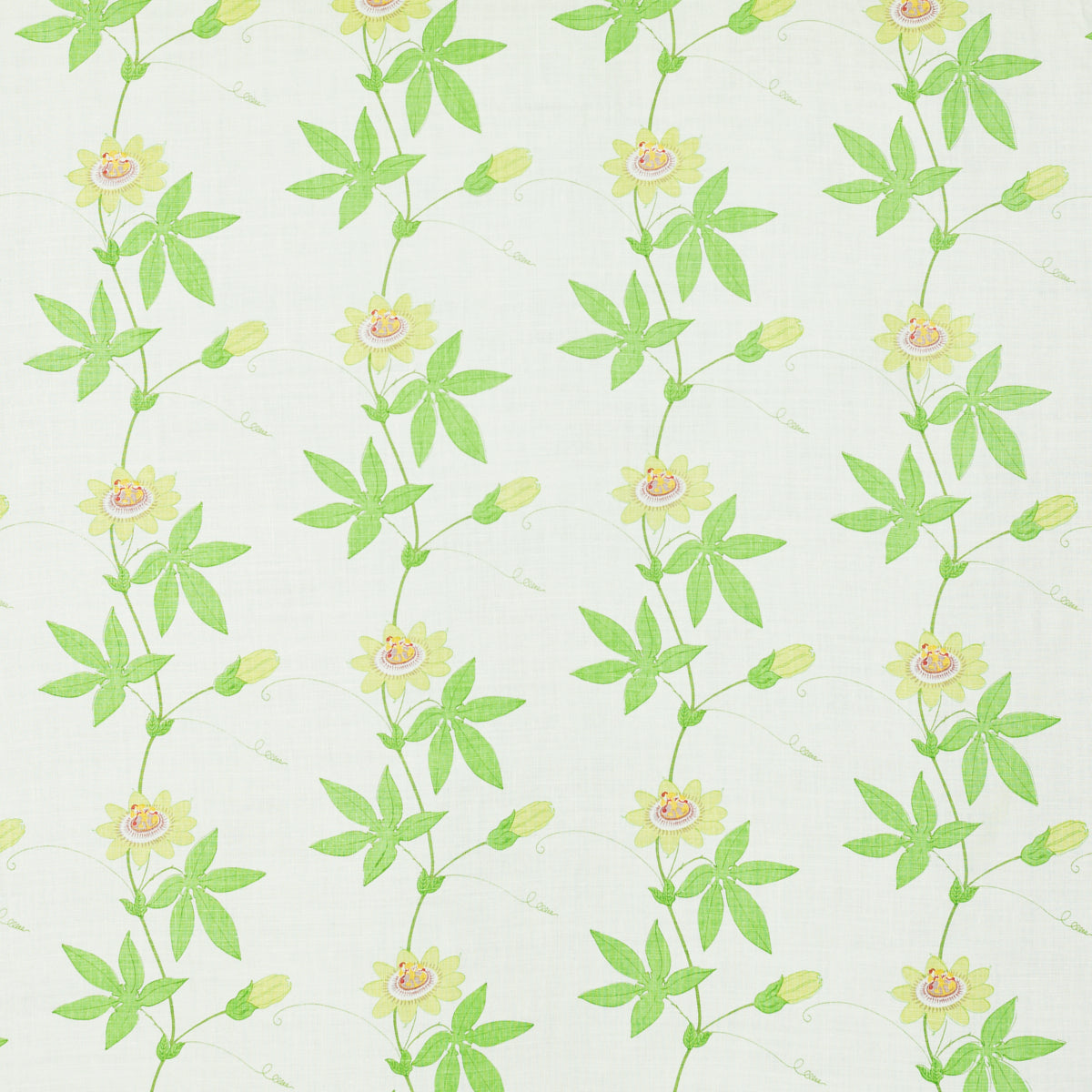 Schumacher 801B29 FLORA BY RAOUL in SPRING Fabric - RAOUL TE
