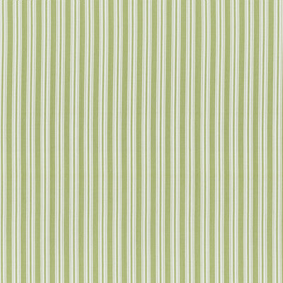 BRUNSCHWIG & FILS 8022118.23.0 SELUNE STRIPE LEAF Fabric - Eade's Wallpaper