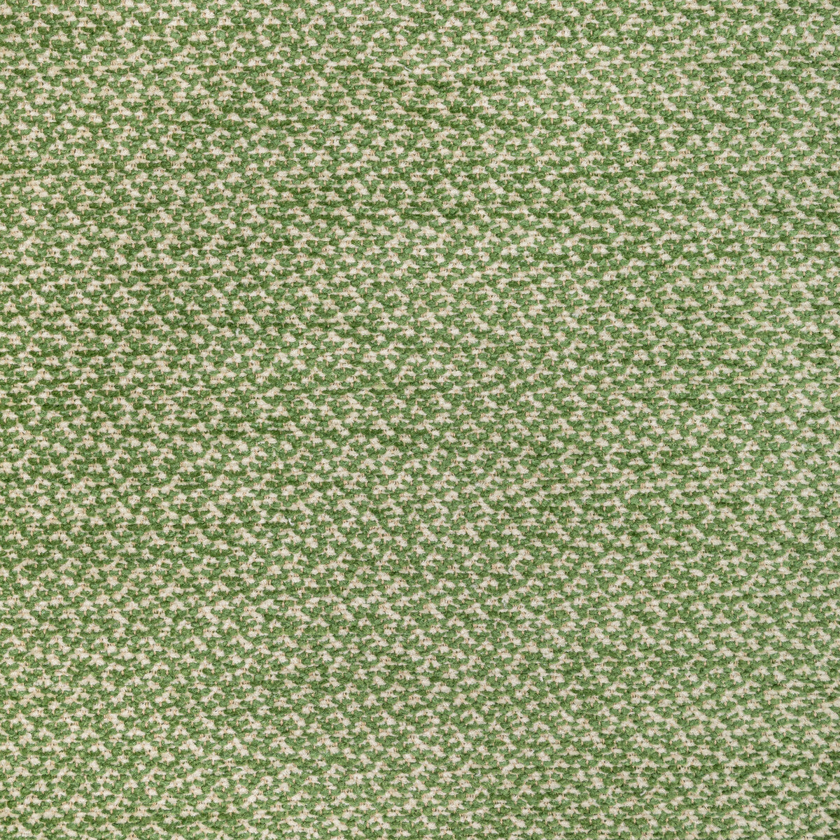 BRUNSCHWIG & FILS 8022122.3.0 SASSON TEXTURE GREEN Fabric - Eade's Wallpaper