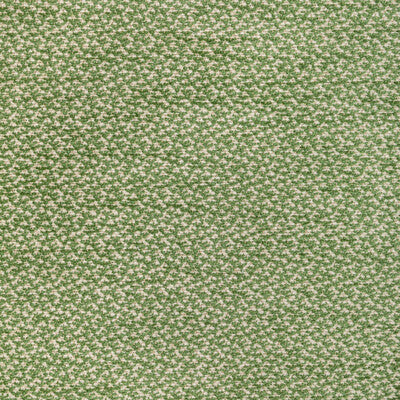 BRUNSCHWIG & FILS 8022122.3.0 SASSON TEXTURE GREEN Fabric - Eade's Wallpaper